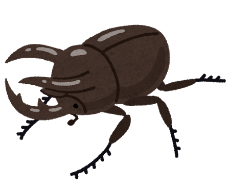 bug_kabutomushi_caucasus_ookabuto.png